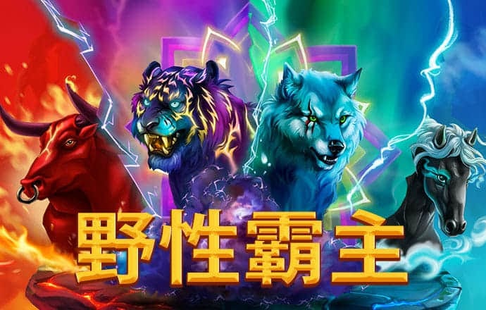 中欧体育kok官网入口